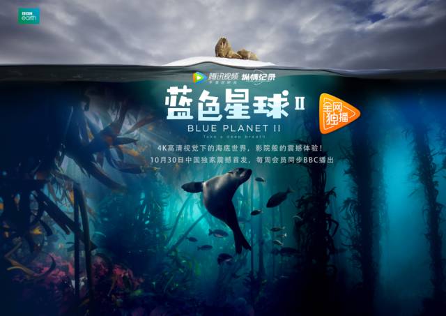 影音男人资源剧照1